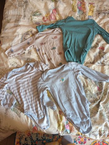 Lot de 4 Bodies manches longues 12 mois