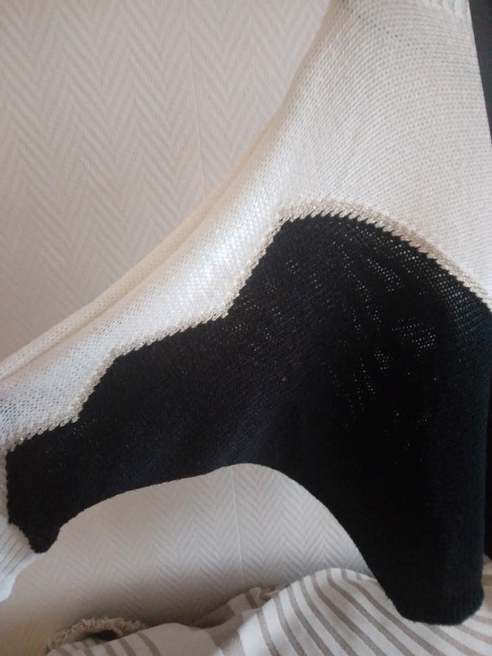 Pull graphique maille - photo numéro 4