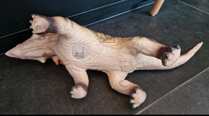 Triceratops - photo numéro 3