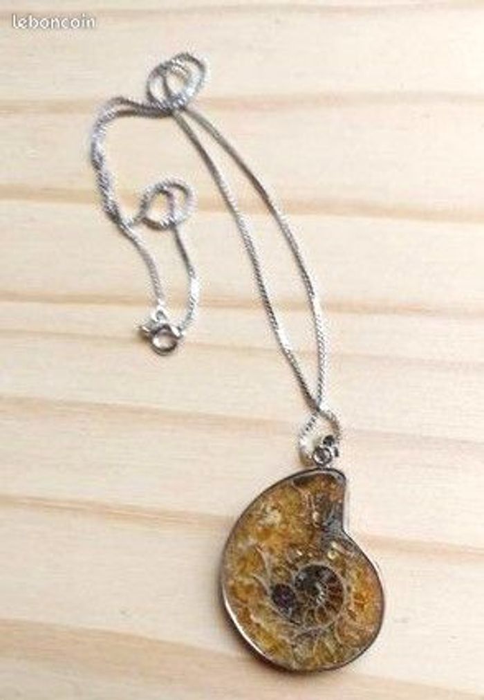 collier pendentif fossile d'ammonite - photo numéro 3