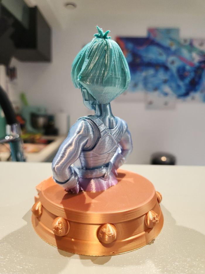 🔥 Figurine Dragon Ball Z – Selipa (Team Bardock) – Buste collector – Saiyan rare - photo numéro 3