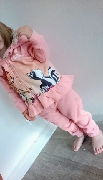 Ensemble Bambi