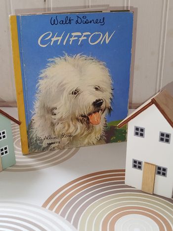 📚 Vintage Hachette Les albums Roses Chiffon