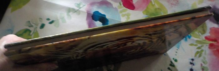 LES FELINS Panorama de la vie animale Ed. de l'Agora - photo numéro 4