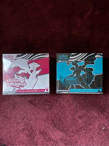 Duo de coffret dresseur d’élite 10.5 etb pokemon flamme blanche foudre noir