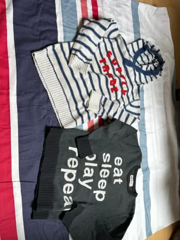 Lot de deux pulls taille quatre ans