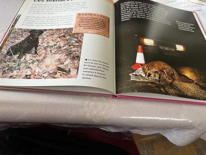 Livre animaux de  notre région   Le renard - photo numéro 3