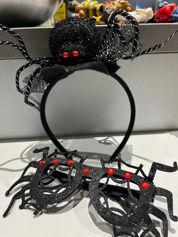 Accessoires déguisement sorcière