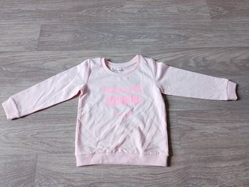 Pull pat et ripaton neuf 24 mois