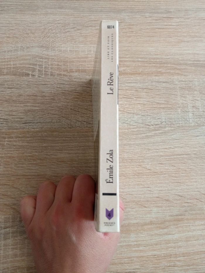 Le rêve - Émile Zola - photo numéro 3