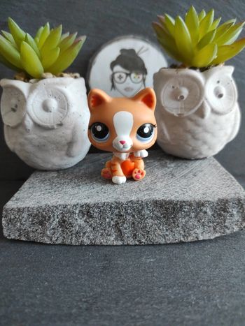 Littlest Petshop LPS Pet Shop chat Chartreux 2095 cat  #geektradelpschat