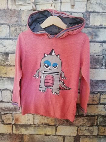 Tee shirt ML à capuches NKY 6 ans