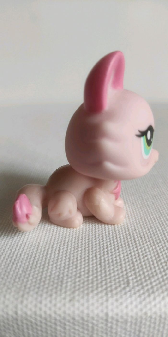 My littlest petshop chat sphynx 1345 - photo numéro 3