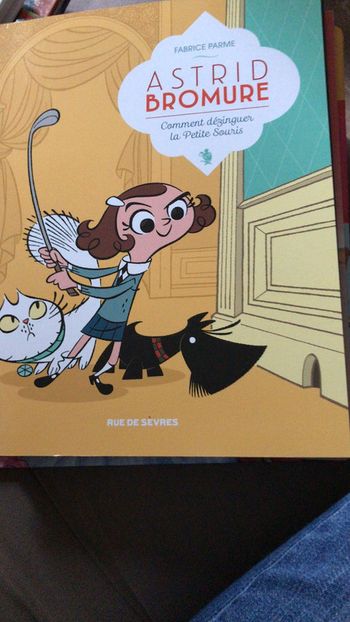 Livre « Comment dezinguer La petite Souris »