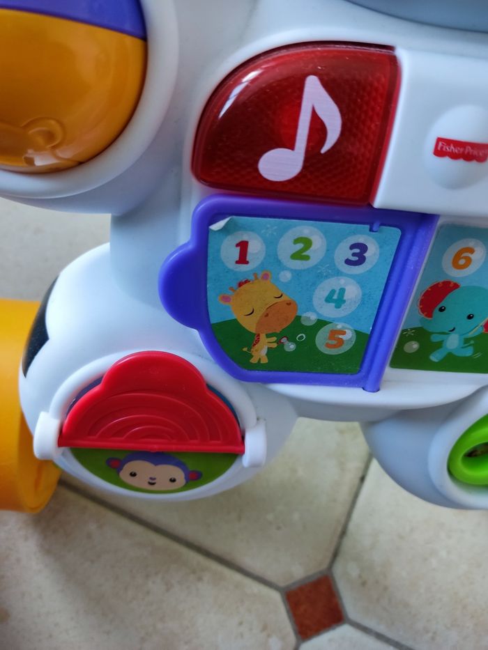 Trotteur Zèbre - photo numéro 6