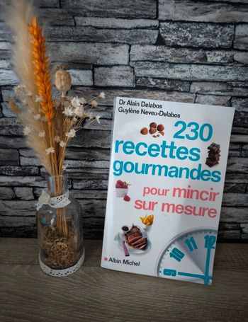 📖 Livre 230 recettes gourmandes pour mincir sur mesure 📖
