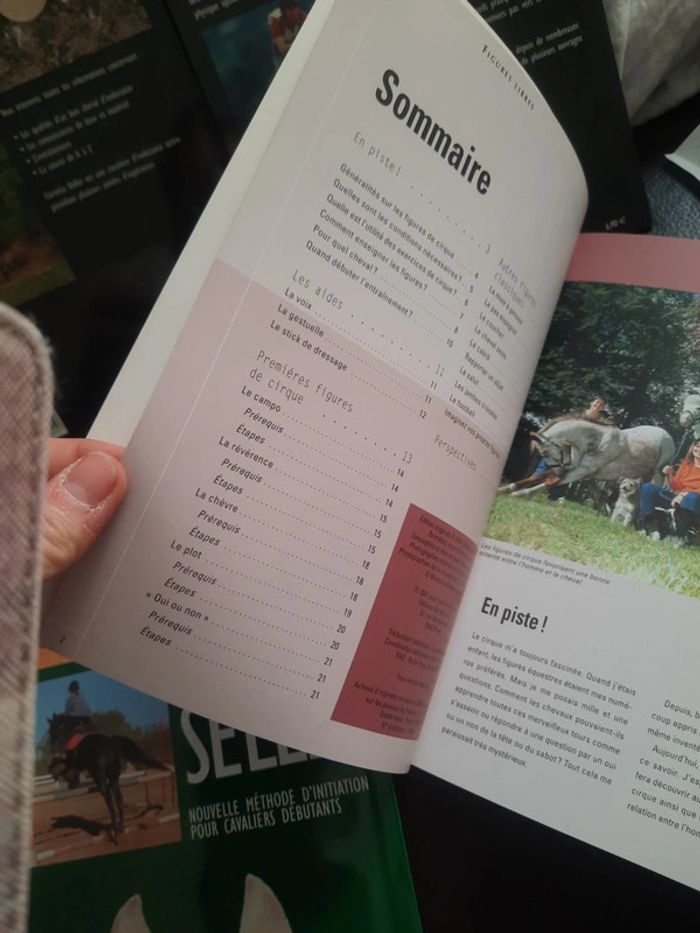 Lot de 4 livres sur les chevaux de vecchi p - photo numéro 8