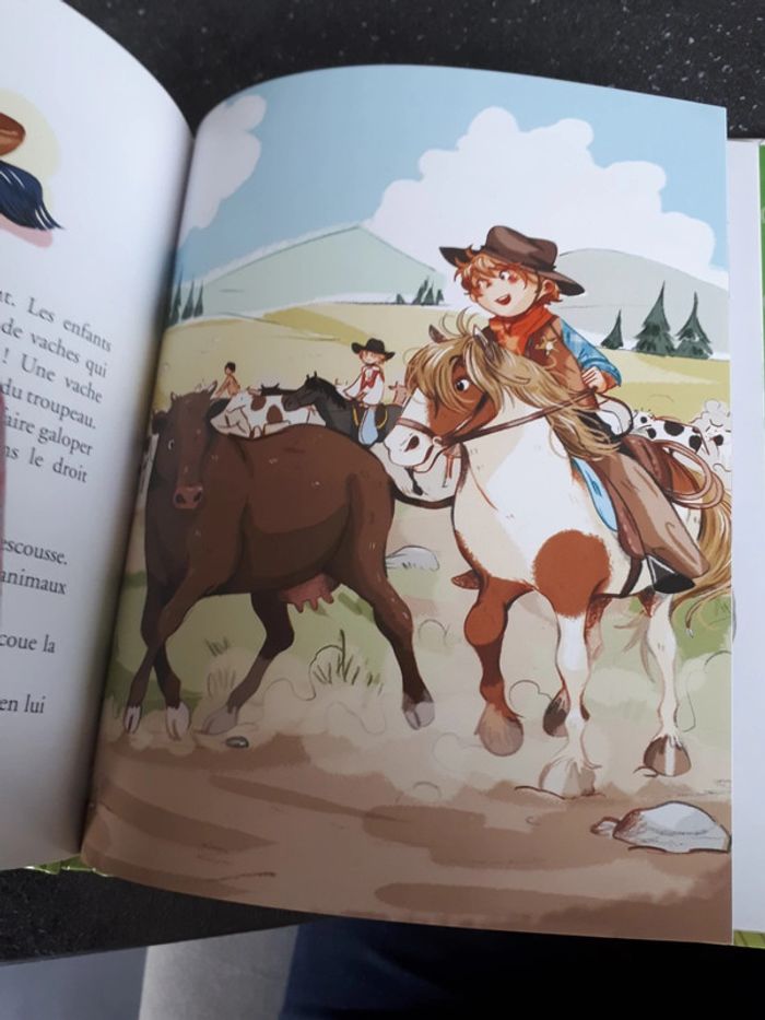 Livre état neuf aventures au poney-club, un poney au Far West - photo numéro 4