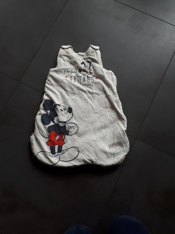 Gigoteuse 0-6 mois Disney Baby