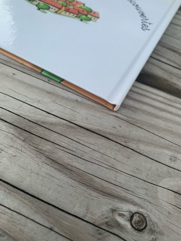 Livre - photo numéro 4