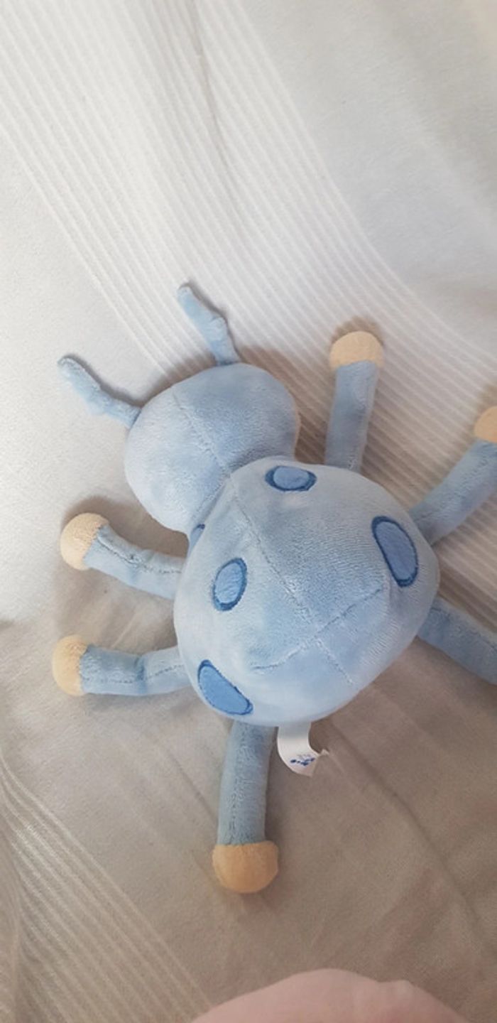 Coccinelle bleue  Arthur et lola - photo numéro 2