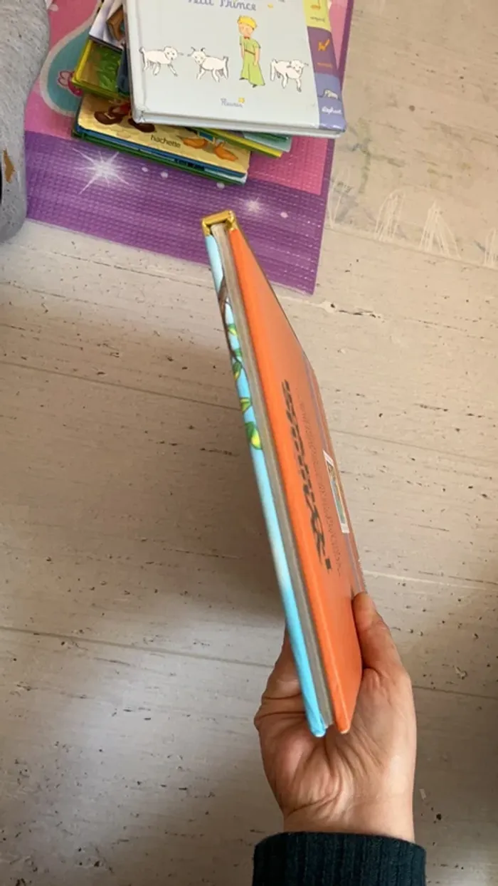 Livre Disney Winnie l’ourson et l’arbre à miel - photo numéro 5