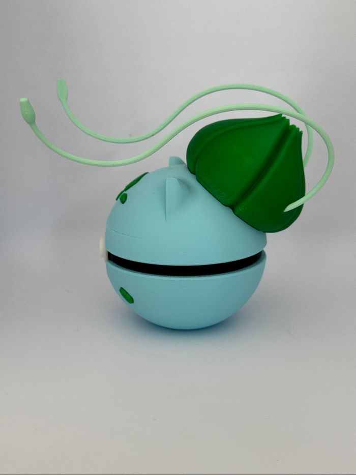 Pokeball bulbizard - photo numéro 4