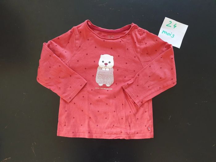 Tee-shirt manches longues marmotte