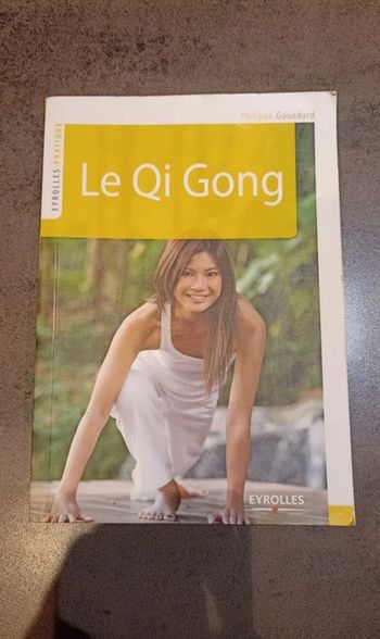 livre de poche Le Qi Gong Philippe gouédard Eyrolles Bon état