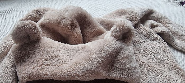 Pull avec capuche oreilles - photo numéro 3