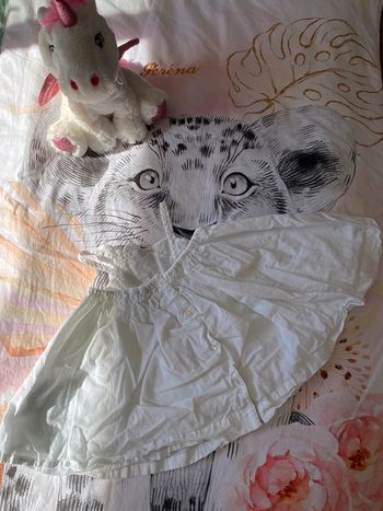 Robe, taille 9 mois, marque Vertbaudet.