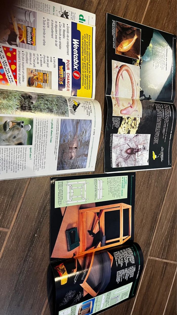 Magazines wapiti - photo numéro 4