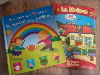 Lot de deux livres avec volet à soulever
