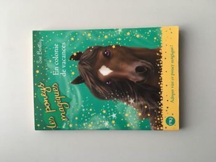 Les poneys magiques, en colonie de vacances