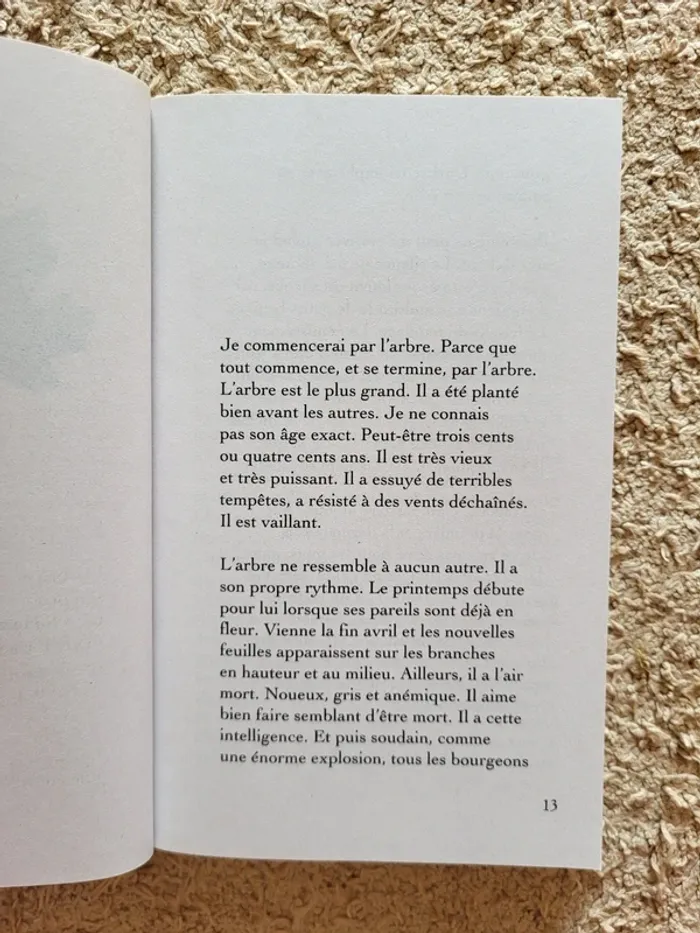 Livre "Sentinelle de la pluie" de Tatiana de Rosnay - photo numéro 5