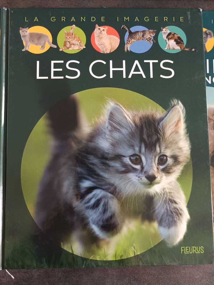 Livre la grande imagerie - photo numéro 2