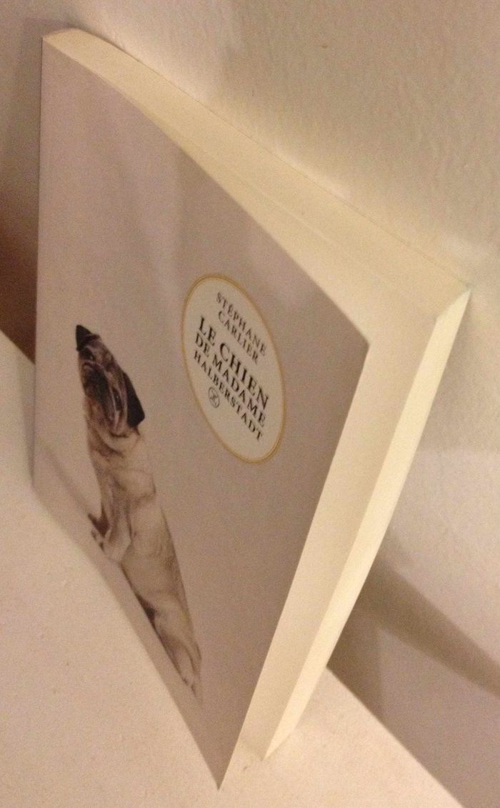 Carlin le chien de madame Halberstadt Stéphane Carlier - photo numéro 3