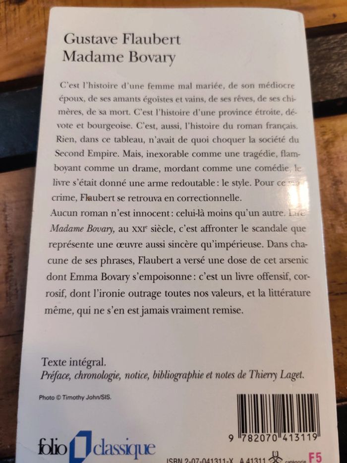 Madame Bovary - photo numéro 2