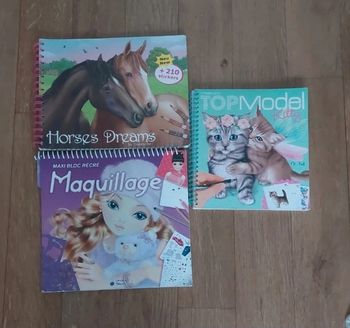 Lot 3 livres de coloriage avec autocollants