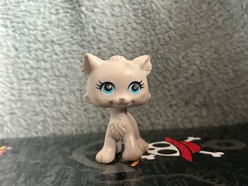 PetShop