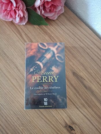 Livre : Le couloir des ténèbres- Anne ferry