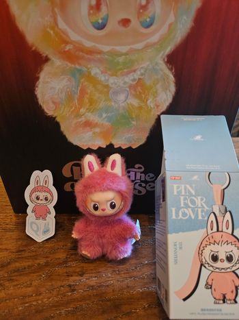 Labubu pins for love "Q"