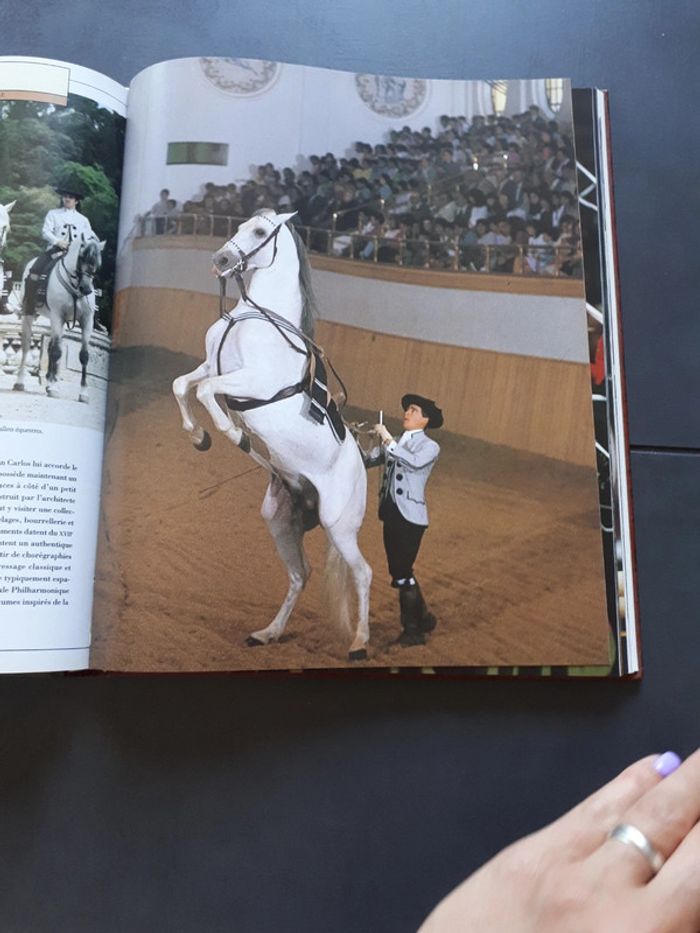 Très beau livre le grand livre des chevaux - photo numéro 12