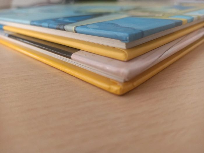 Lot de 2 BD - photo numéro 7