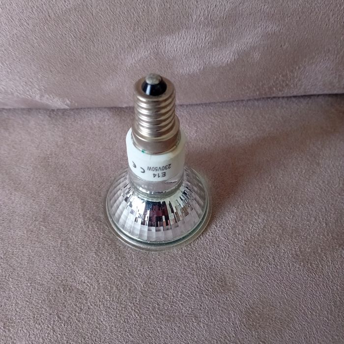 Faby27800 Ampoules x 3 E14 50W - A visser - Petit culot (N° 3) - photo numéro 3