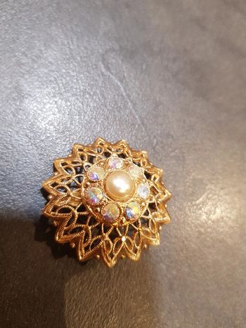 Magnifique broche