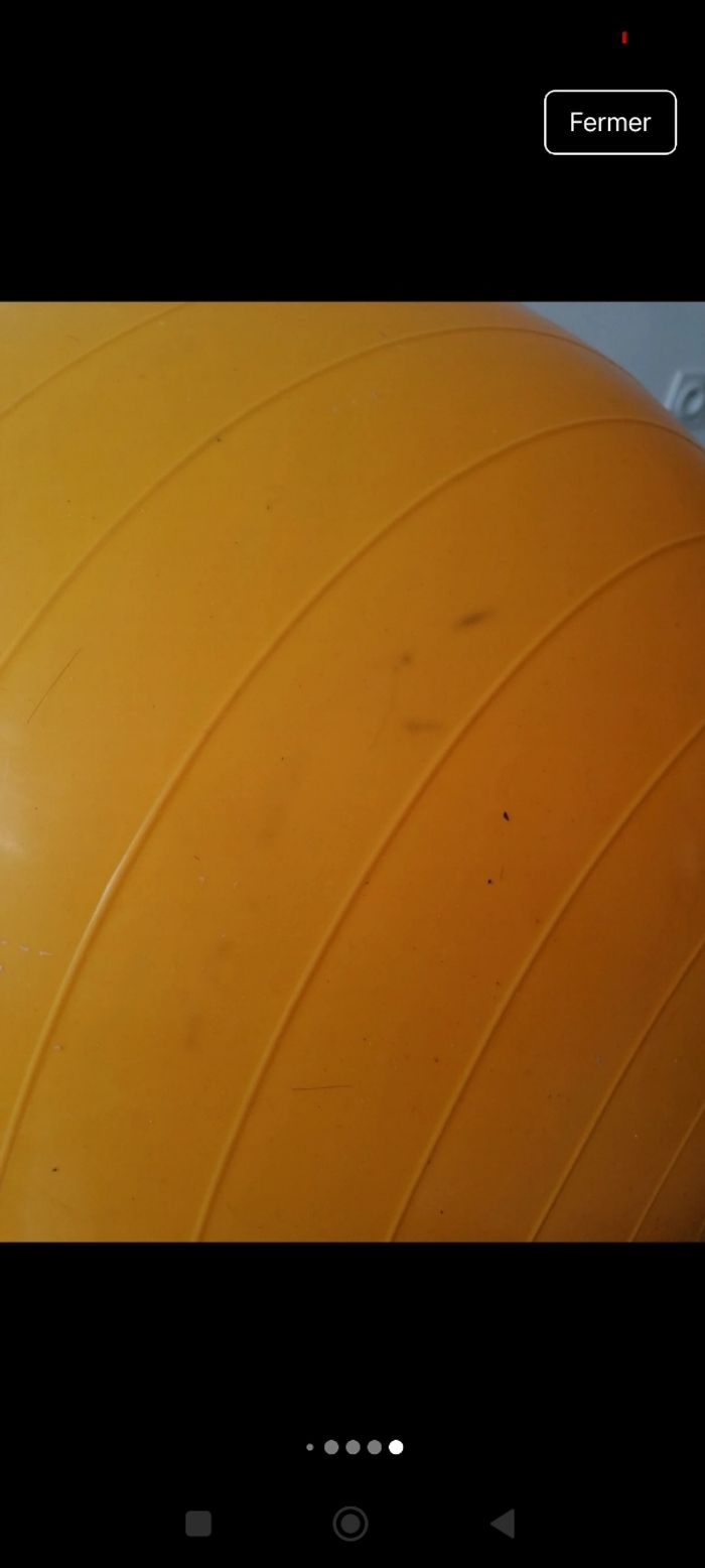 Ballon gymnic, gymnastique,grossesse - photo numéro 6