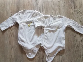 Lot 2 bodies Orchestra