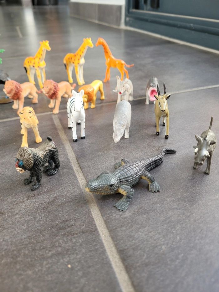 Lot animaux - photo numéro 2