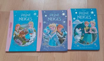Livre reine des neiges